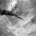 Buy Half Moon Run - A Blemish In The Great Light Mp3 Download