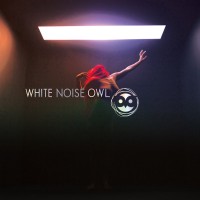 Purchase White Noise Owl - Condition Critical