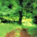 Buy Hiroshi Yoshimura - Quiet Forest Mp3 Download