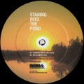 Buy Joey Anderson - Staring Into The Pond (EP) Mp3 Download