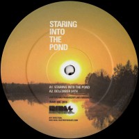 Purchase Joey Anderson - Staring Into The Pond (EP)