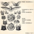 Buy Charles K. Noyes & Owen Maercks - Free Mammals (Vinyl) Mp3 Download