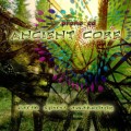 Buy Ancient Core - Earth Spirit Awakening Mp3 Download