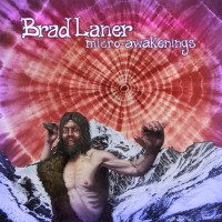 Purchase Brad Laner - Micro​-​awakenings