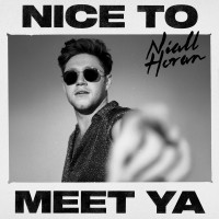 Purchase Niall Horan - Nice To Meet Ya (CDS)