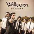 Buy Walkways - Skyfall (CDS) Mp3 Download