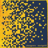 Purchase Pinegrove - Marigold