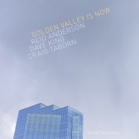 Purchase Reid Anderson, Dave King & Craig Taborn - Golden Valley Is Now