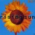 Buy The Farm - Rising Sun (MCD) Mp3 Download