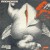 Buy Floh De Cologne - Rockoper Profitgeier (Vinyl) Mp3 Download