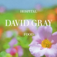 Purchase David Gray - Hospital Food (CDS) CD1