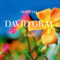 Purchase David Gray - Hospital Food (CDS) CD2