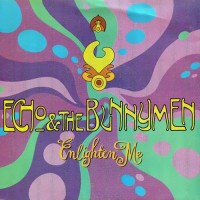 Purchase Echo & The Bunnymen - Enlighten Me (CDS)