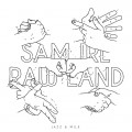 Buy Sam Irl - Raw Land Mp3 Download