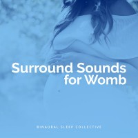 Purchase Binaural Sleep Collective - Surround Sounds For Womb