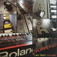 Purchase Luke Vibert - Valvable (Vinyl)