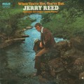 Buy Jerry Reed - When You're Hot, You're Hot (Vinyl) Mp3 Download