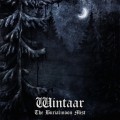 Buy Wintaar - The Burialmoon Mist Mp3 Download