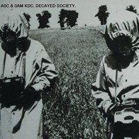 Purchase Asc - Decayed Society