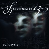 Purchase Specimen13 - Echosystem