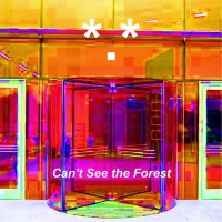 Purchase Star Period Star - Can't See The Forest