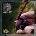 Buy Beatroots - Providing Pressure Mp3 Download