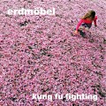 Buy Erdmöbel - Kung Fu Fighting Mp3 Download