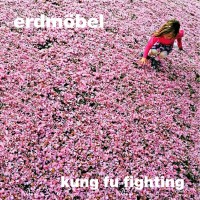 Purchase Erdmöbel - Kung Fu Fighting