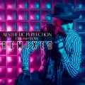 Buy Aesthetic Perfection - Ebb And Flow: The Remixes Mp3 Download