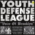 Buy Youth Defense League - Voice Of Brooklyn (Vinyl) Mp3 Download