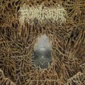Buy Mortiferum - Disgorged From Psychotic Depths Mp3 Download