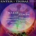 Buy R. Carlos Nakai - Enter >> Tribal (With Cliff Sarde) Mp3 Download