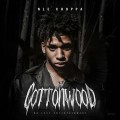 Buy Nle Choppa - Cottonwood Mp3 Download