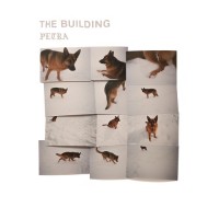 Purchase The Building - Petra