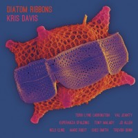 Purchase Kris Davis - Diatom Ribbons