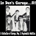 Buy VA - In Dan's Garage Vol. 1 (Vinyl) Mp3 Download