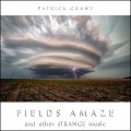 Buy Patrick Grant - Fields Amaze And Other Strange Music Mp3 Download