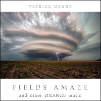 Purchase Patrick Grant - Fields Amaze And Other Strange Music