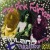 Buy Pink Fairies - Finland Freakout (Vinyl) Mp3 Download
