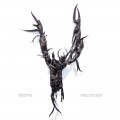 Buy Tētēma - necroscape Mp3 Download