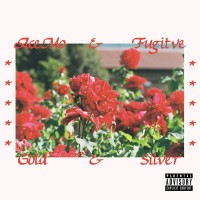 Purchase Acemo - Gold & Silver (With Fugitive) (EP)