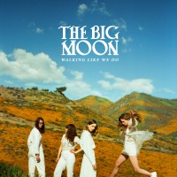 Purchase The Big Moon - Walking Like We Do