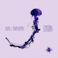 Purchase Dense & Translippers - Entitas