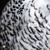 Purchase Translippers - Hover