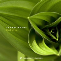 Purchase Translippers - Herbalism