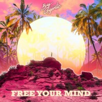 Purchase Big Gigantic - Free Your Mind