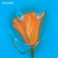 Purchase Moaning - Uneasy Laughter