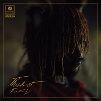 Purchase Thundercat - It Is What It Is