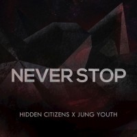 Purchase Hidden Citizens - Never Stop (CDS)