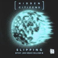 Purchase Hidden Citizens - Slipping (CDS)